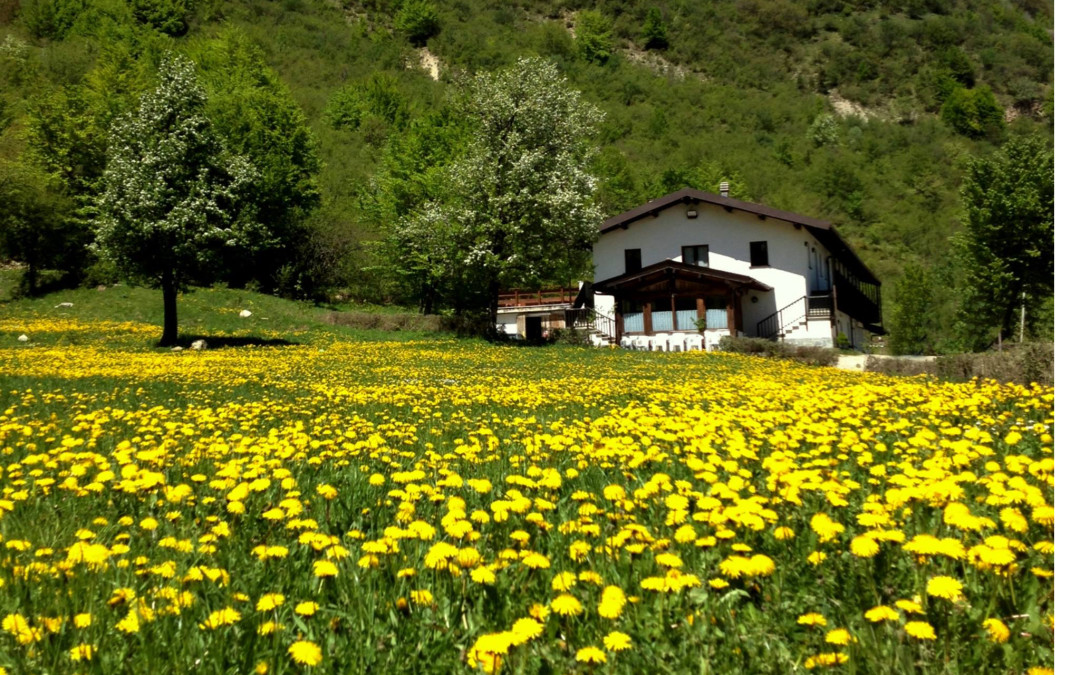 Offerte per l’estate
