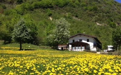 gallery_17