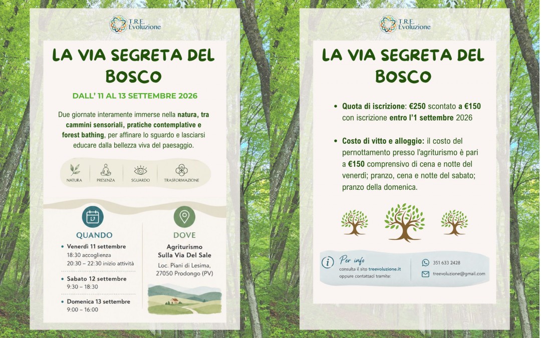La via segreta del bosco